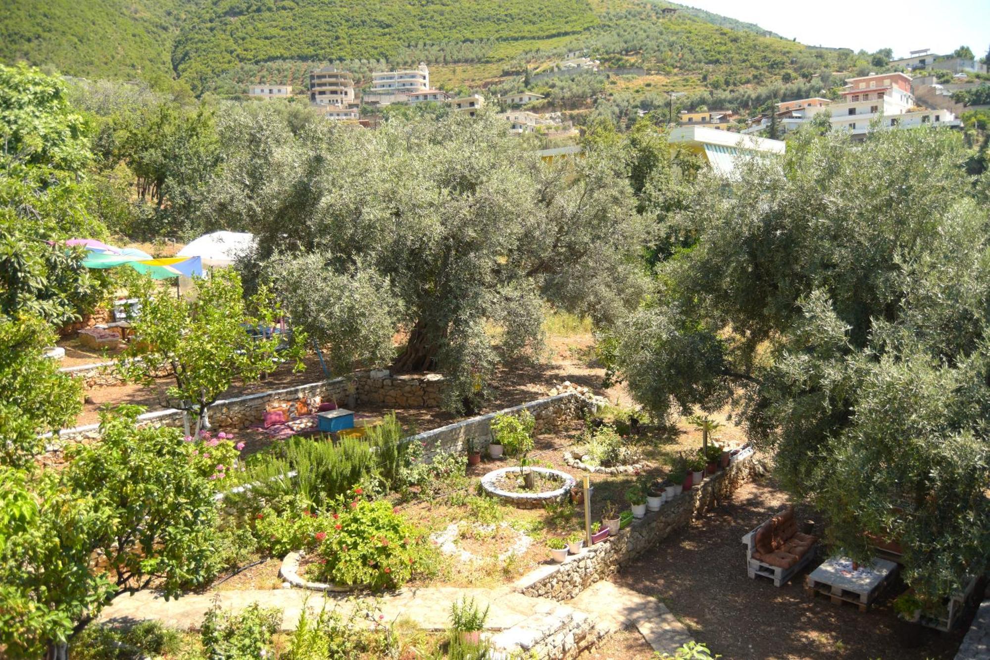 Ferienwohnung Vila Toskaj Vlorë Exterior foto